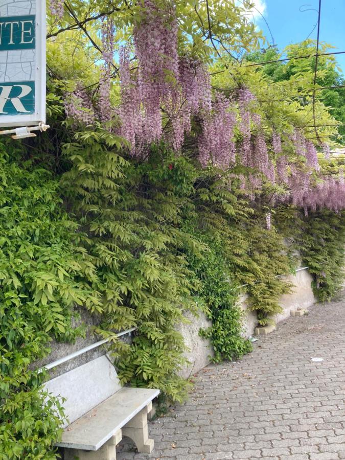 Albergo Pensione Bianco San Giovanni Rotondo Exterior foto