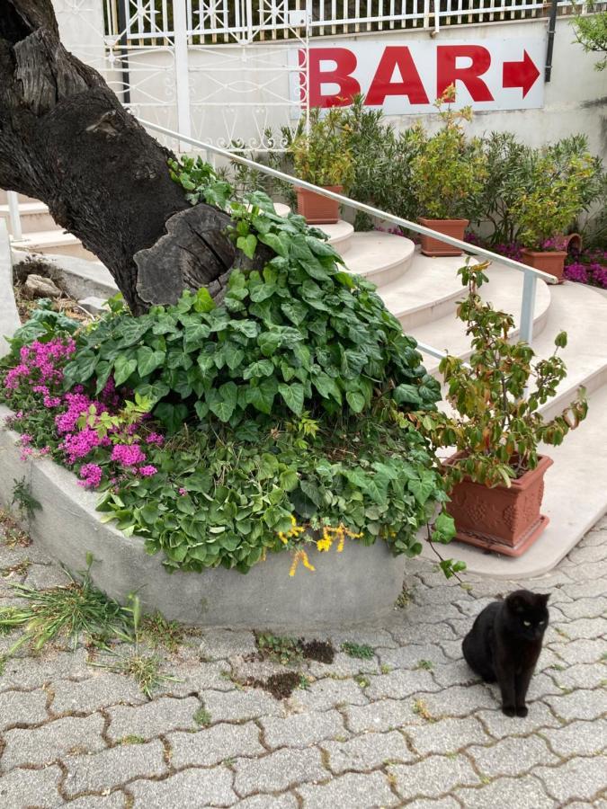 Albergo Pensione Bianco San Giovanni Rotondo Exterior foto